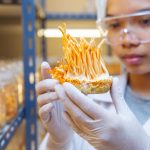 New-Age Ethnic Catering Ideas